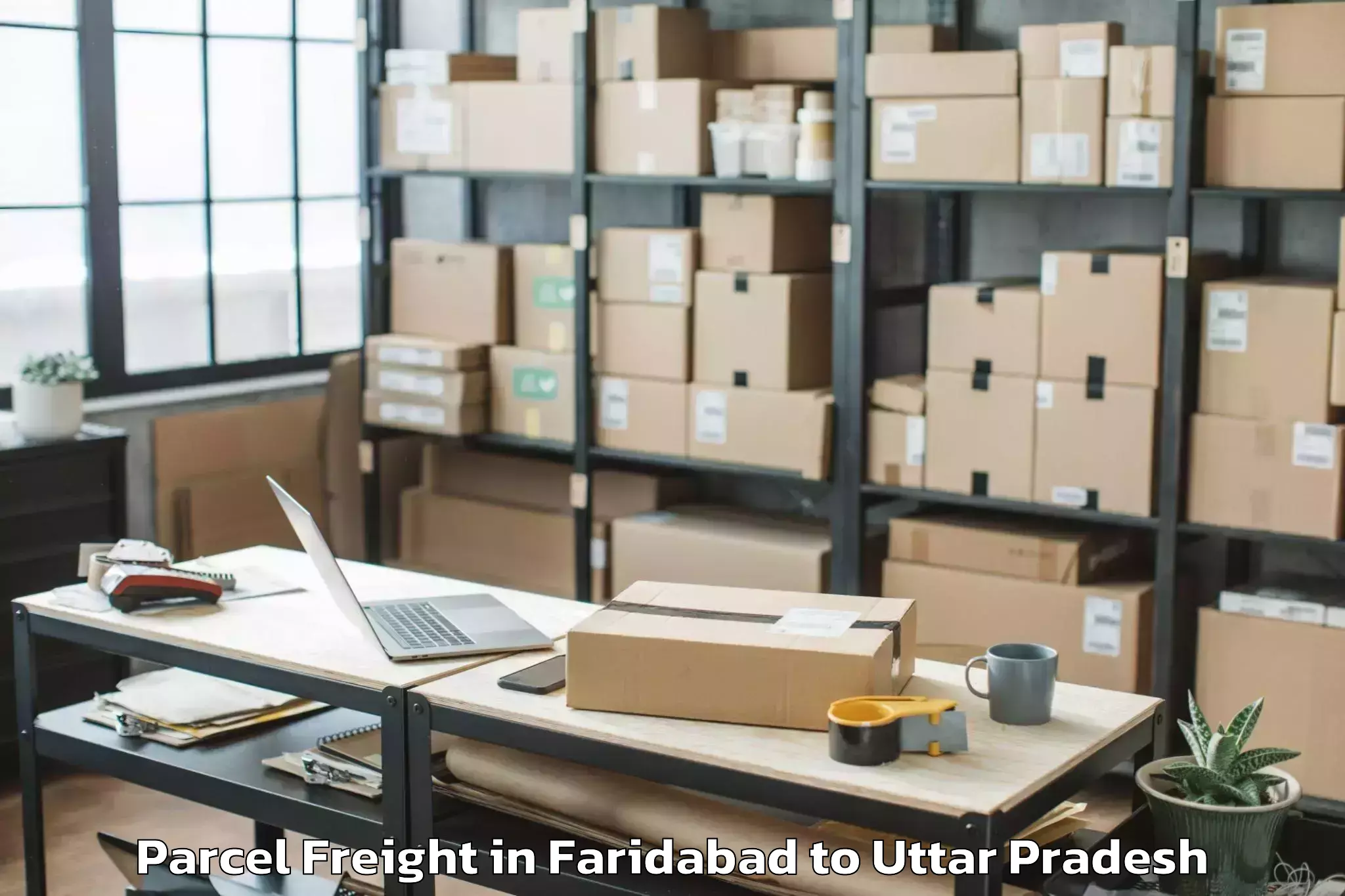 Trusted Faridabad to Dhaurahra Parcel Freight